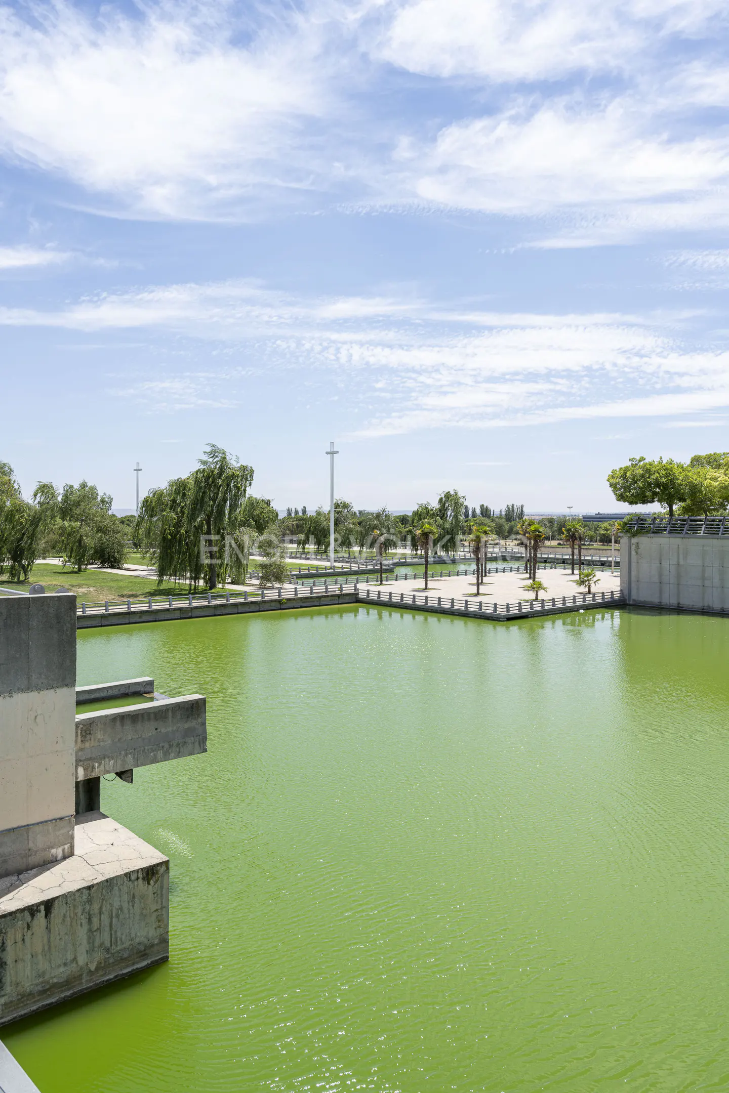 Outdoor view of a green pond with concrete structures, trees, and a blue sky with clouds.