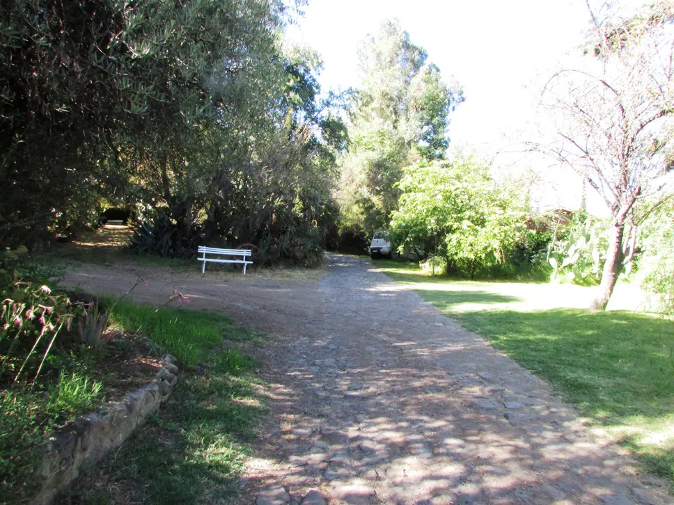 A stone driveway leads to a white car parked near green trees and grass. A white bench sits to the left of the driveway.