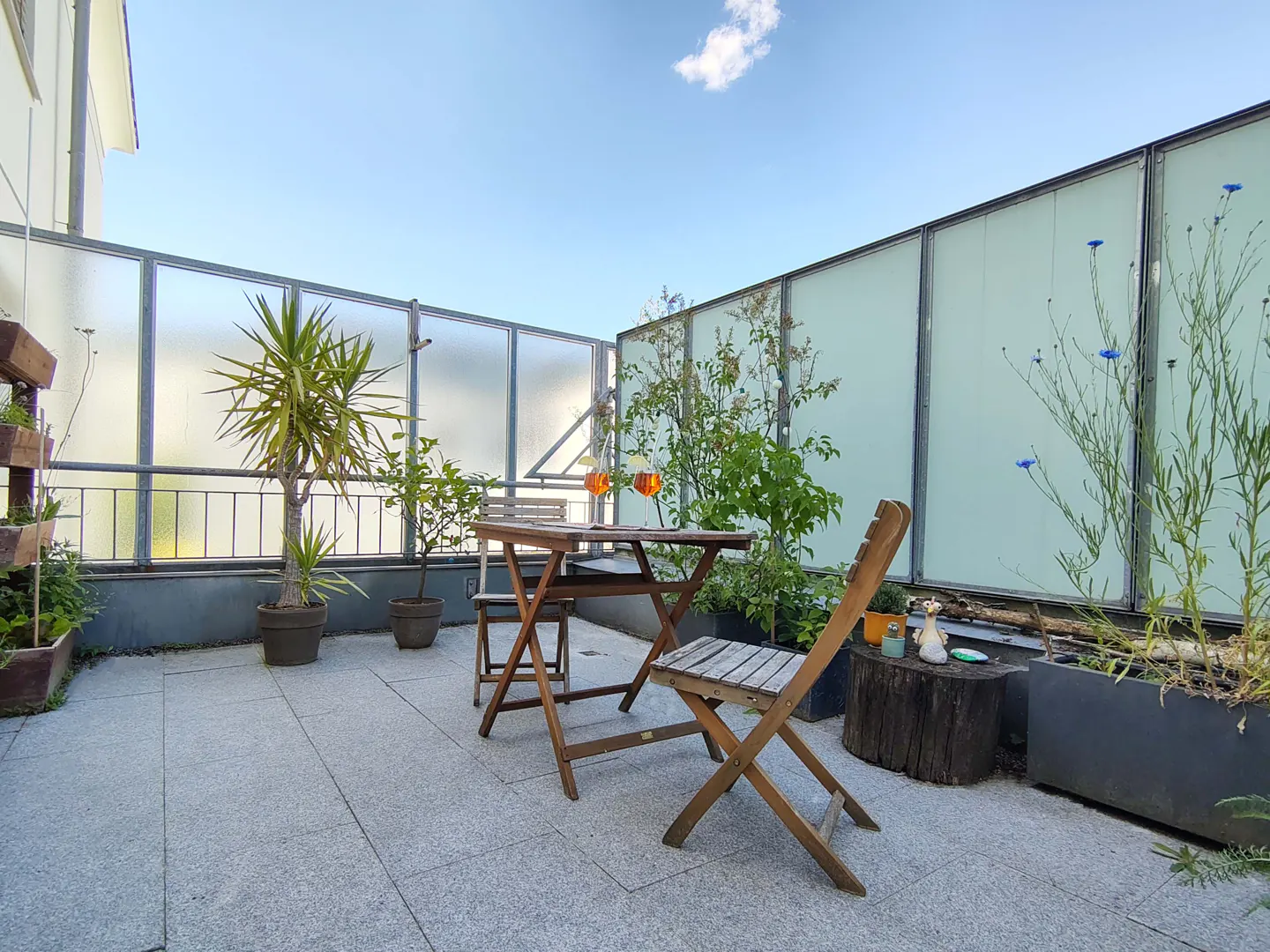 Outdoor patio with a wooden table, chairs, and two orange drinks. Plants in pots and planters line the perimeter. Blue sky above.