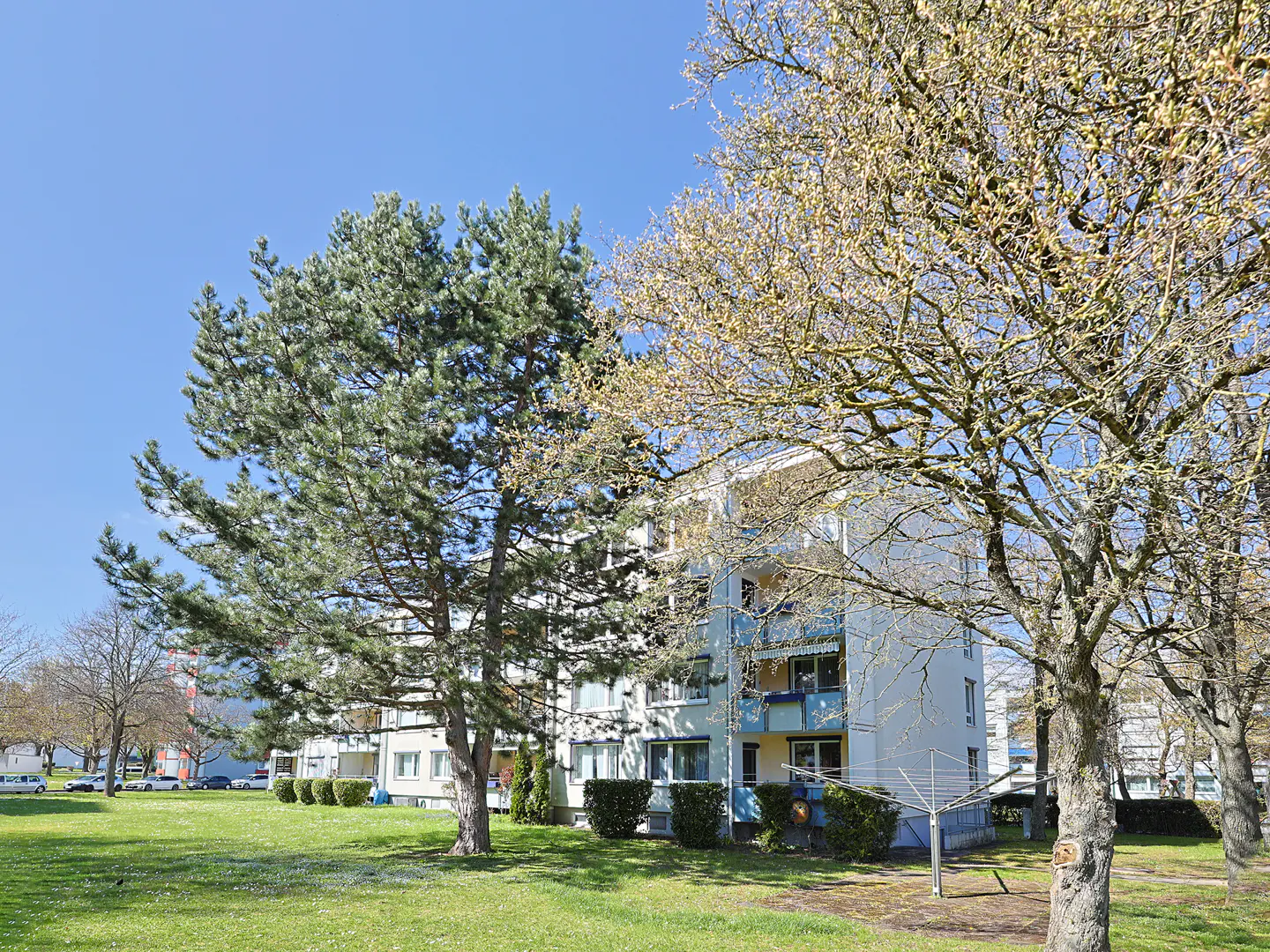Exterior of a light blue apartment building with balconies, trees, and a green lawn on a sunny day.