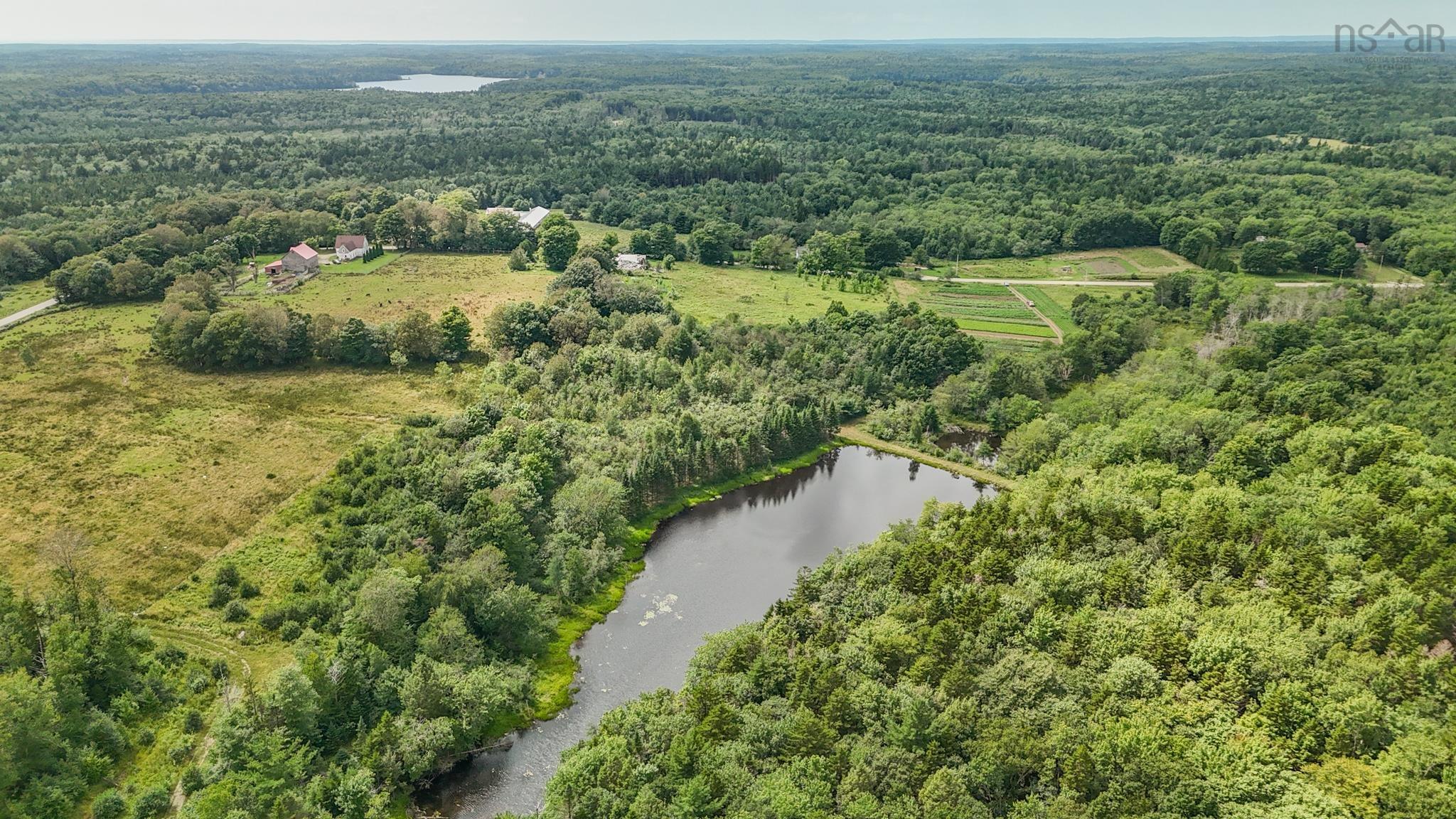 98 Acres of Untouched Beauty