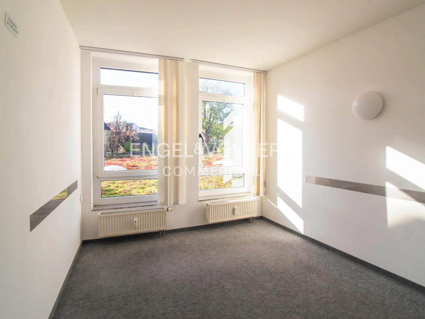 Bright, empty room with gray carpet, white walls, and two windows with beige curtains. Radiators are under the windows.