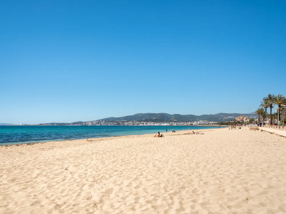 Sandy beach with turquoise water under a clear blue sky. People are sunbathing and walking along the shore. Palm trees line the edge of the beach.