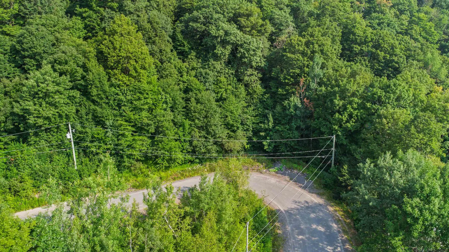 Aerial view of a winding asphalt road through a dense green forest with power lines overhead.