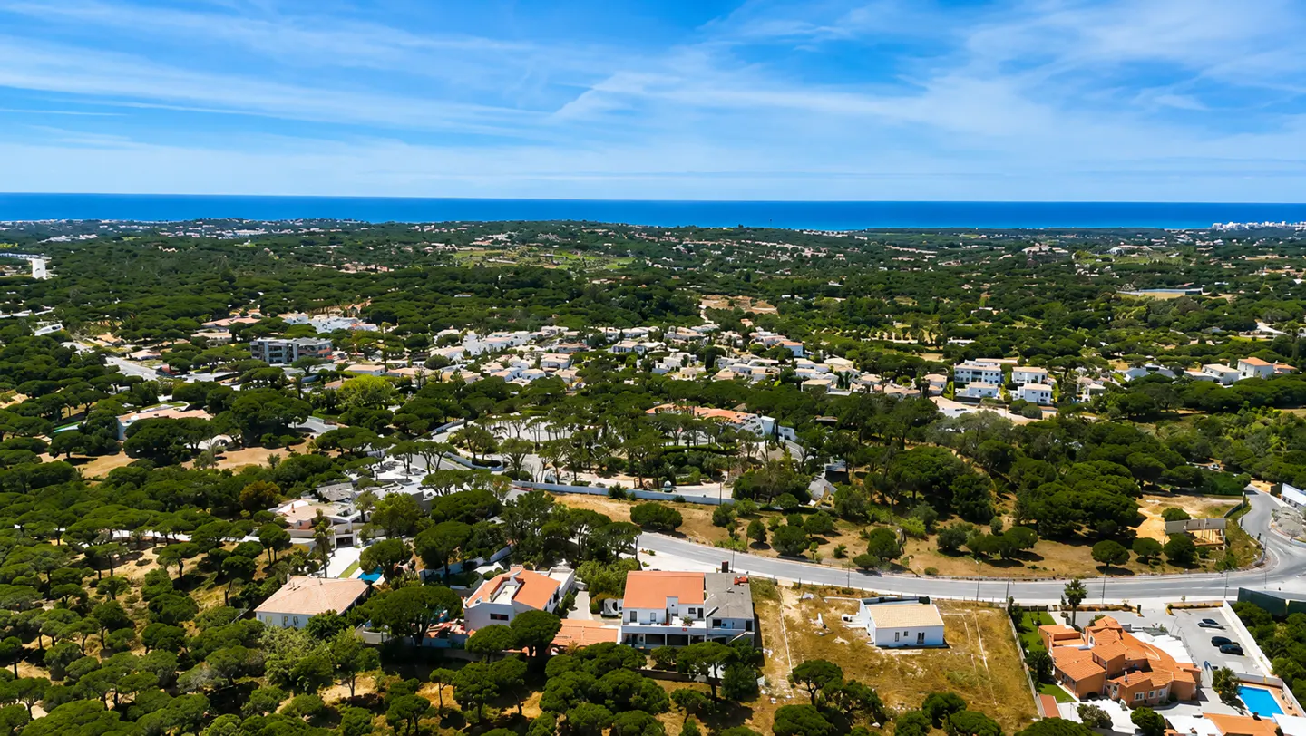 Aerial view of a residential area with white houses and green trees, under a blue sky with the ocean in the background.
