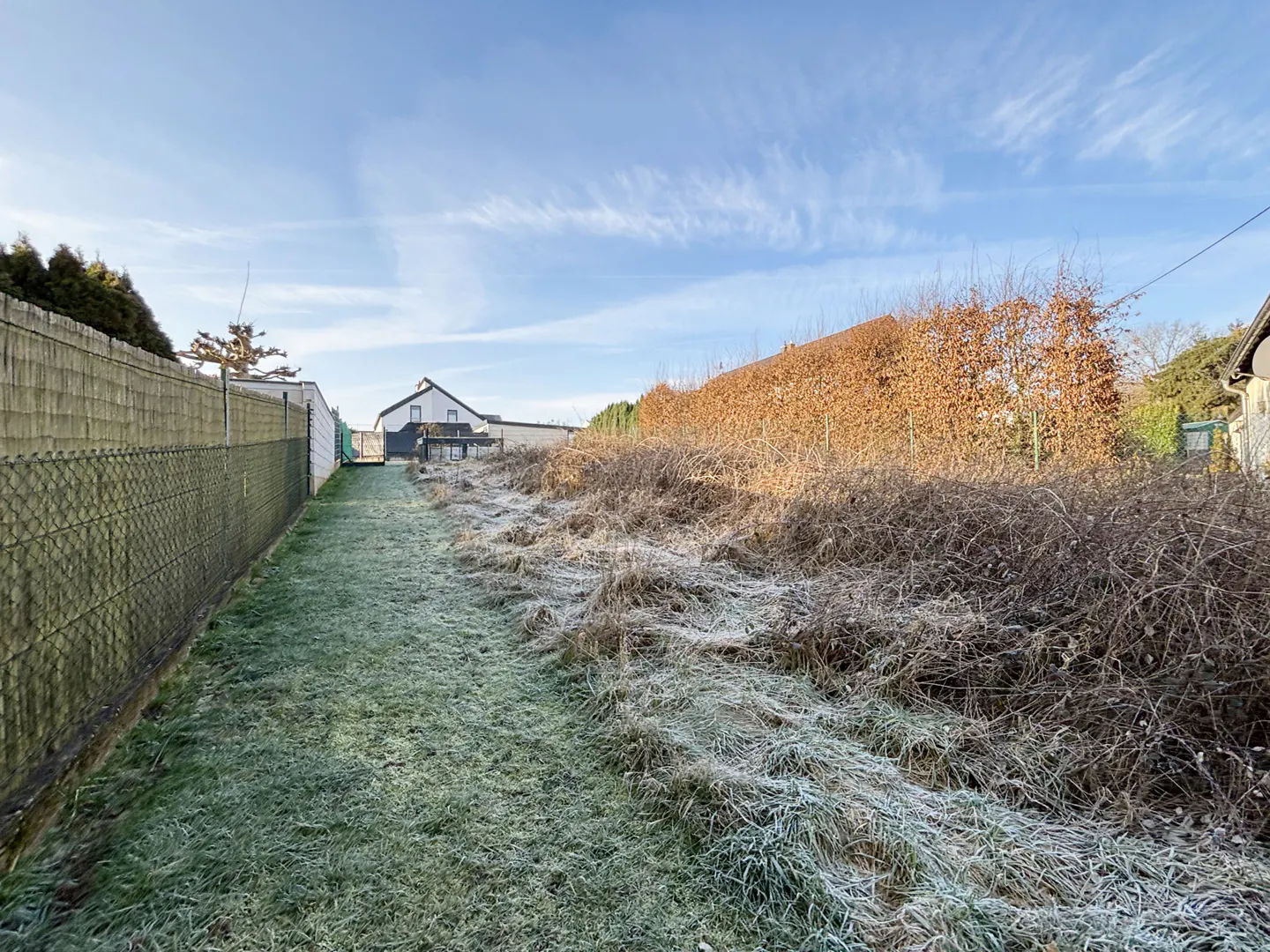 A long, narrow yard with frosted grass, a fence, and a house in the background.