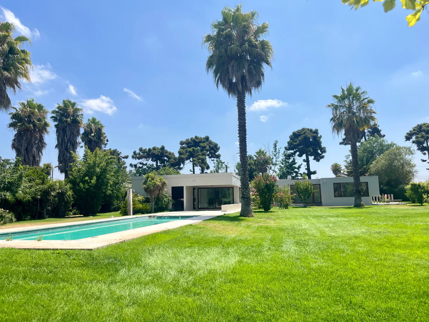 A modern white house with a pool and green lawn, surrounded by palm trees under a blue sky.