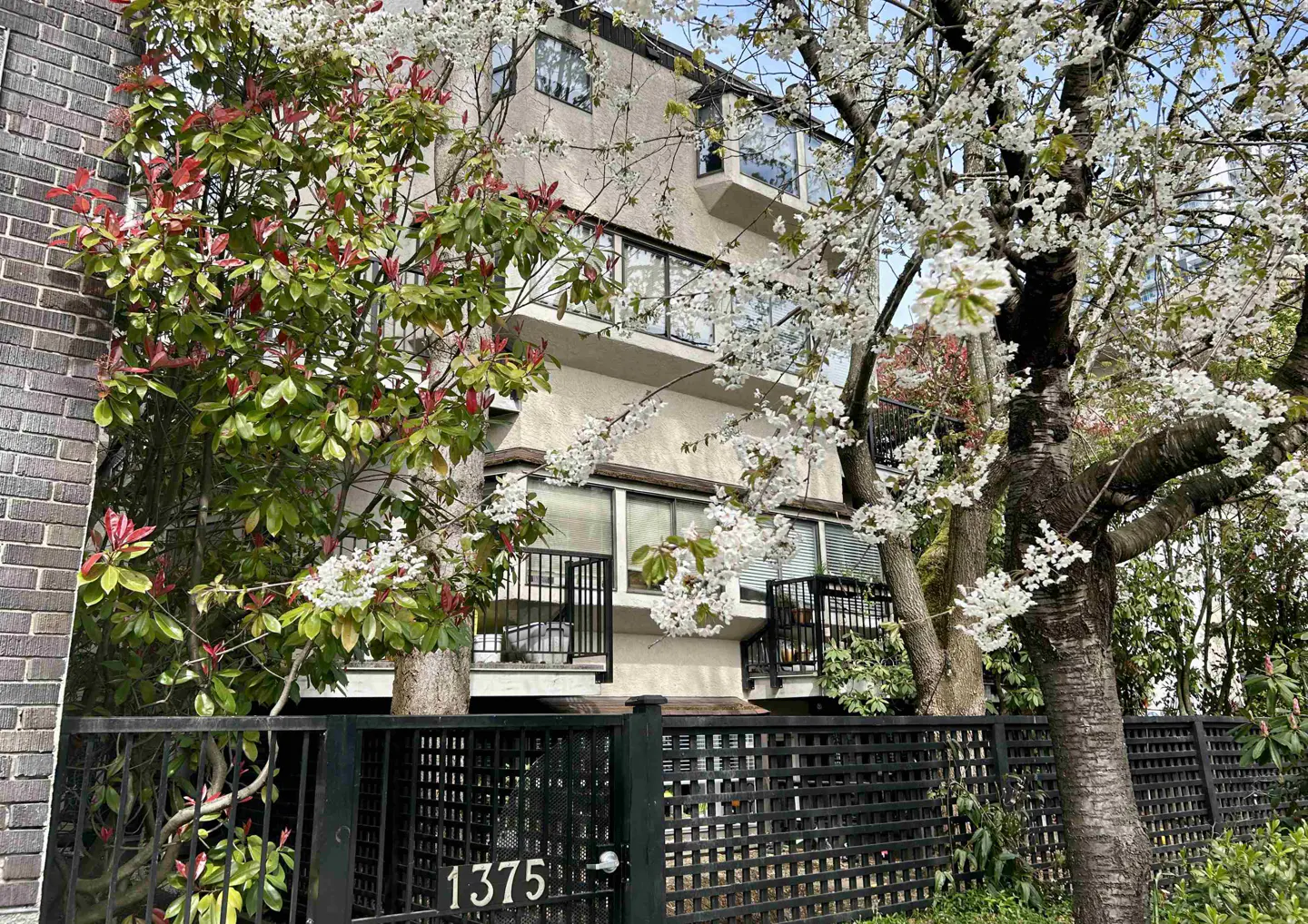 A three-story beige apartment building with black balconies, partially obscured by trees with white blossoms and a black fence with the number 1375.