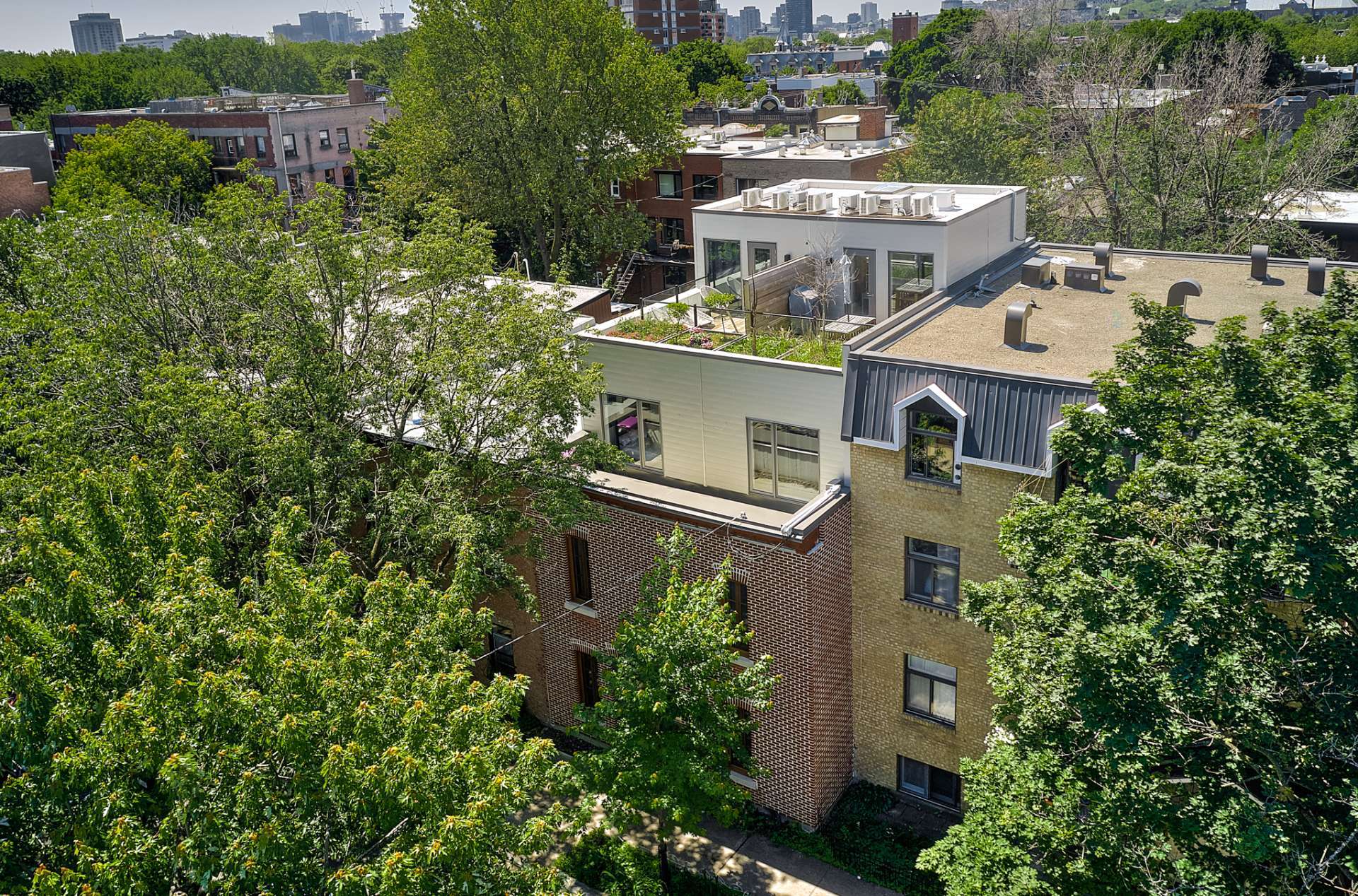 Montréal (Le Plateau-Mont-Royal), Québec