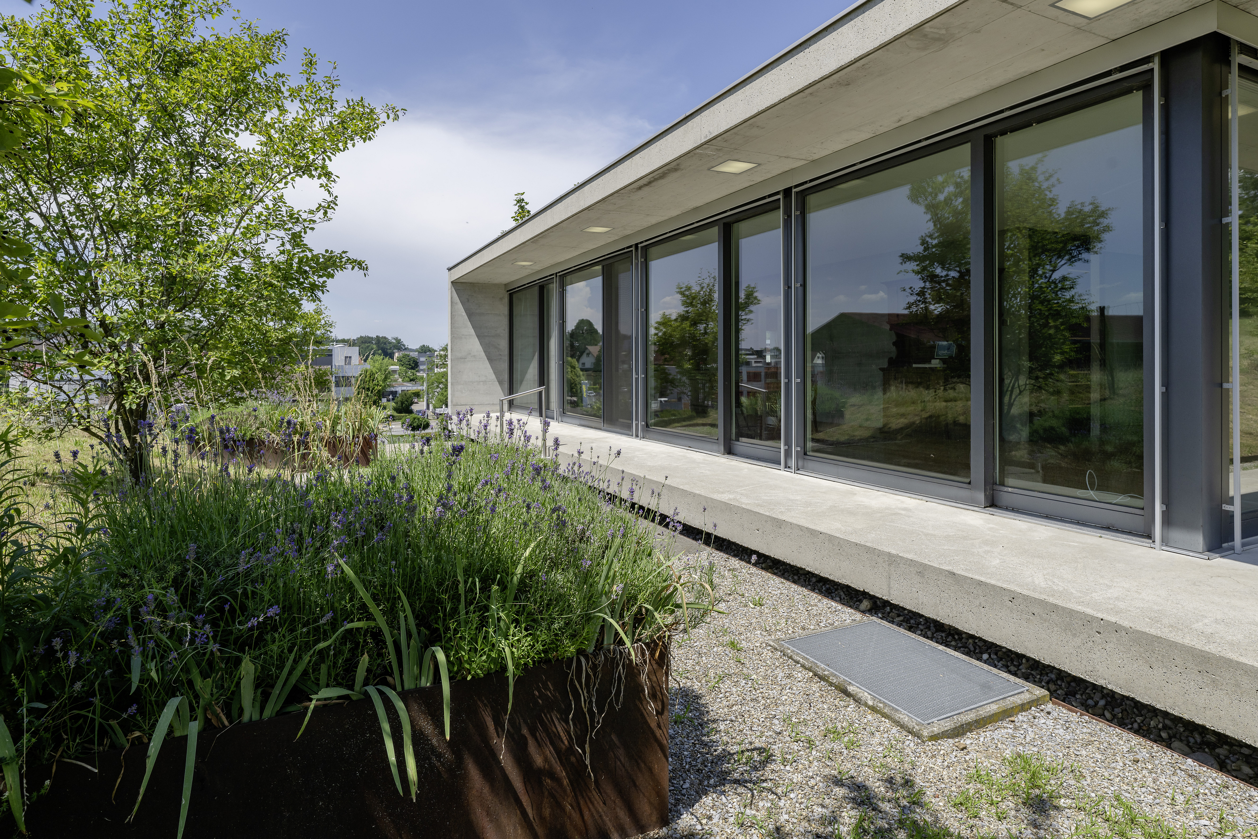 Architektur mit Raum für Natur