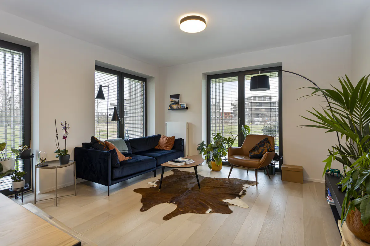 Bright living room with wood floors, large windows, and modern furniture. A blue velvet sofa and brown leather chair sit on a cowhide rug. Plants add a touch of nature.