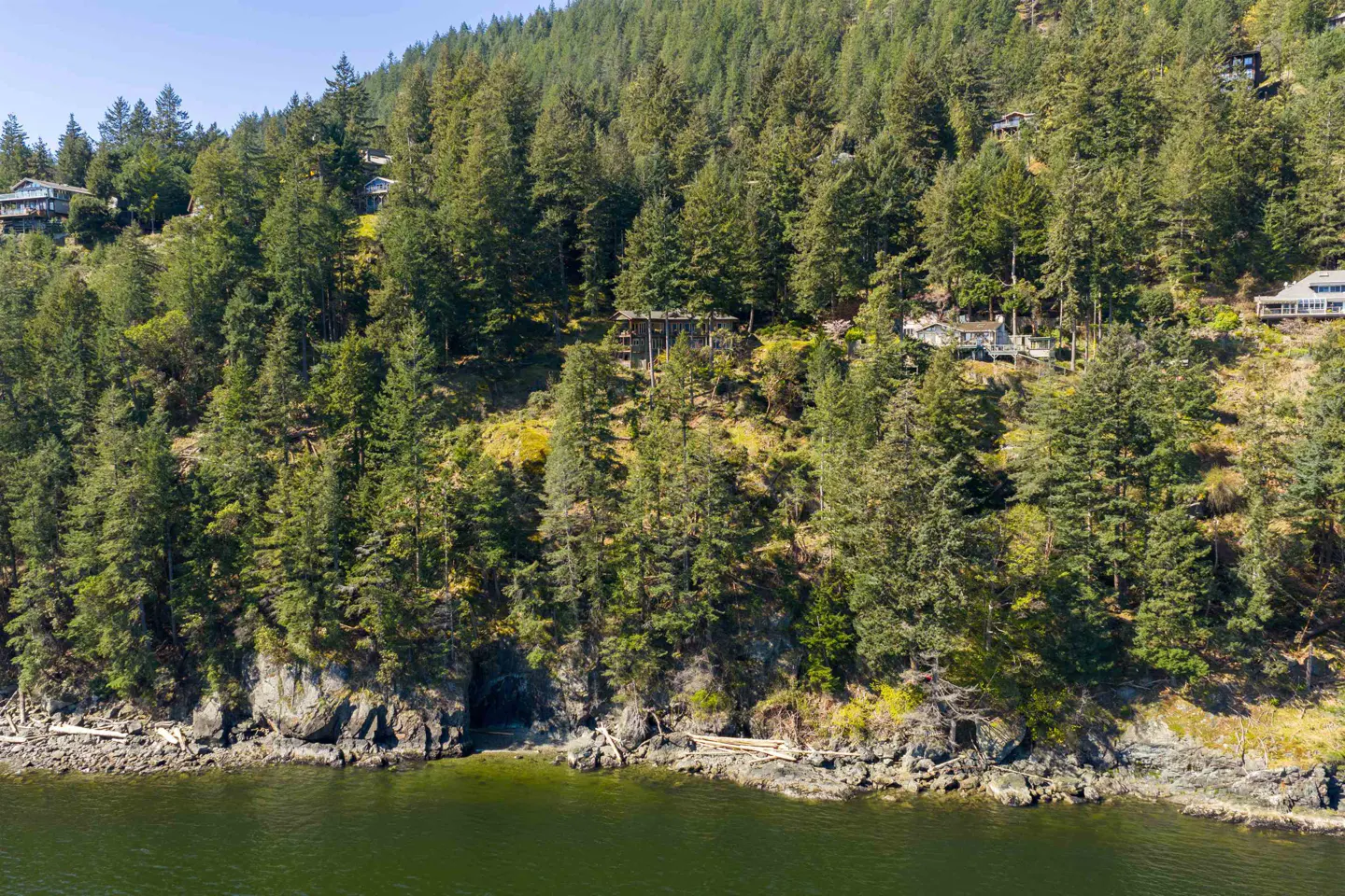 Waterfront homes nestled in a lush, green forest on a hillside overlooking the ocean. Rocky shoreline with driftwood.