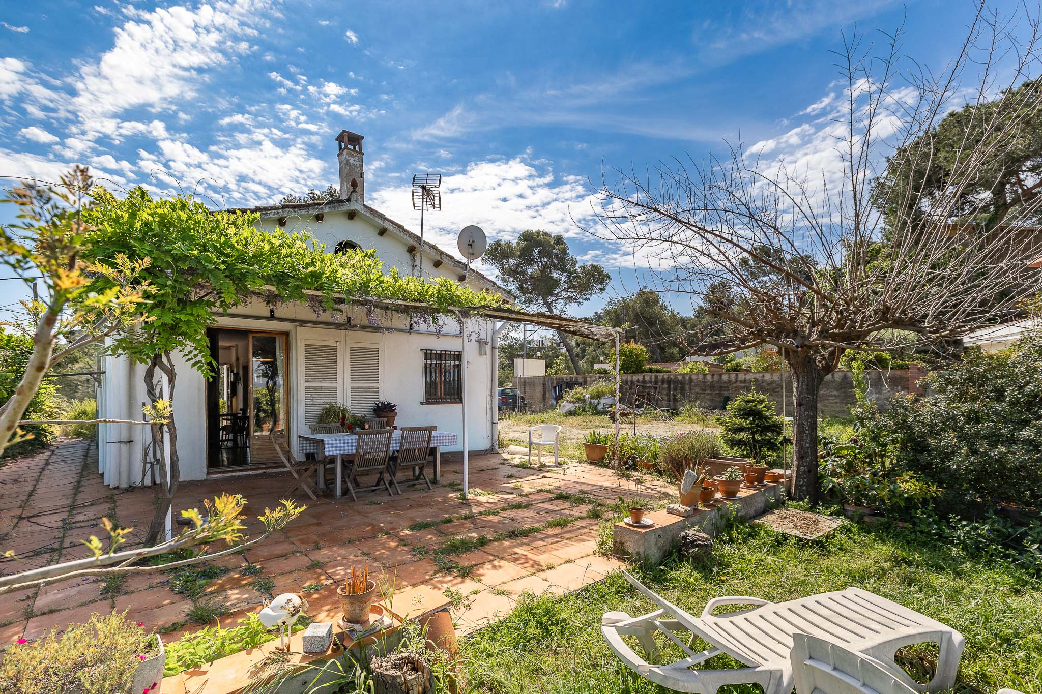 Single-family home with large lot