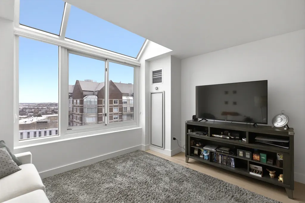 Bright living room with a large window showing a city view, a gray rug, and a dark wood TV stand with a flat screen TV.