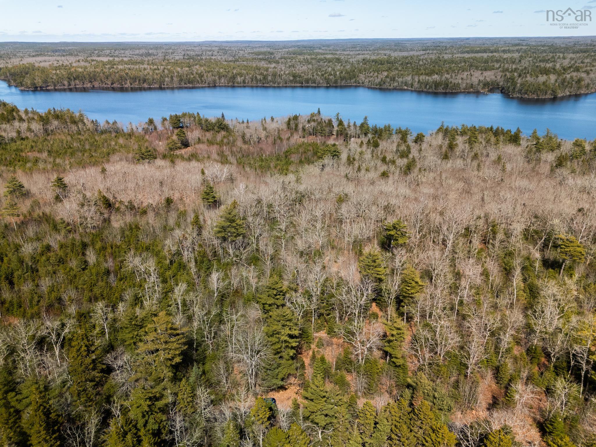 22.6 Acre Wooded Property With Direct Lake Frontage