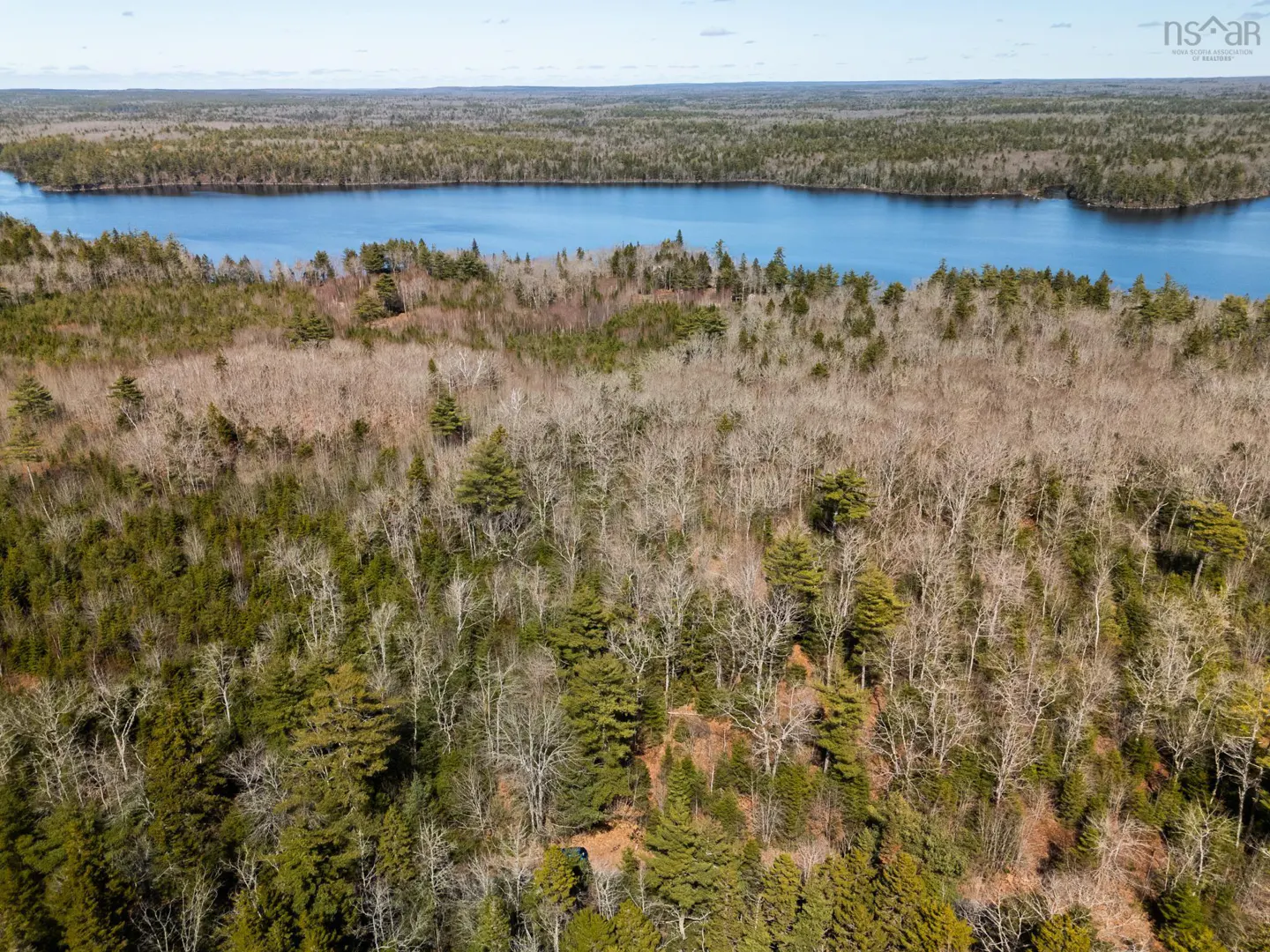 Aerial view of a forest with a blue lake in the background on a sunny day.