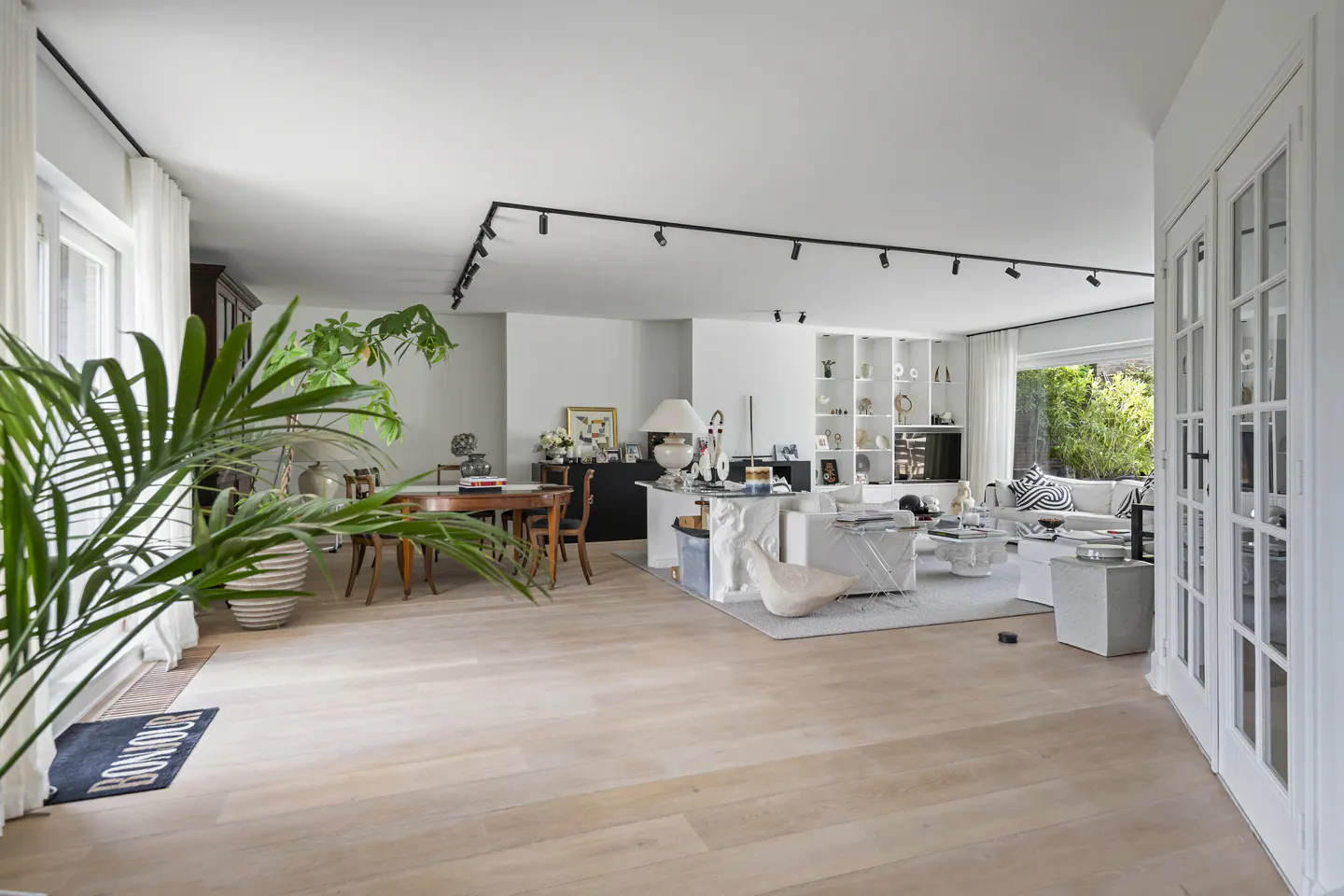 Bright, open-concept living and dining room with light wood floors, track lighting, and a large indoor palm plant.