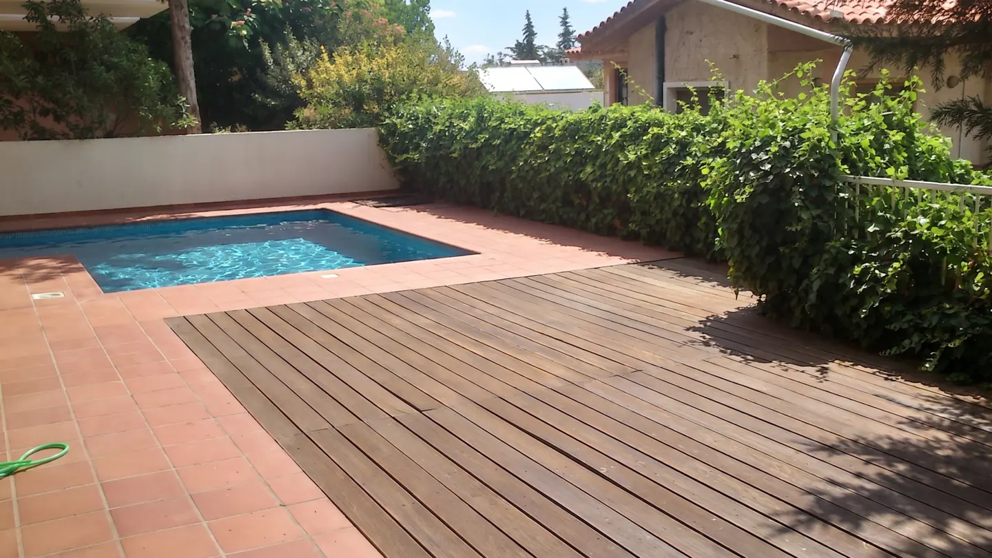 [AI-generated photo]