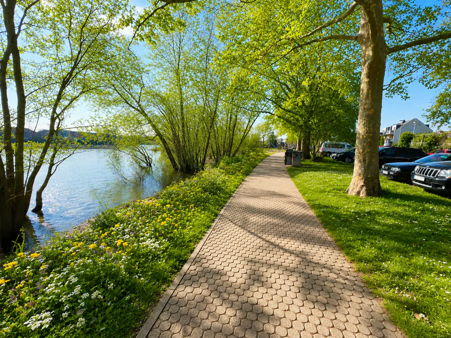 A paved path runs alongside a river, lined with green trees and grass. Cars are parked on the right, with buildings in the distance.