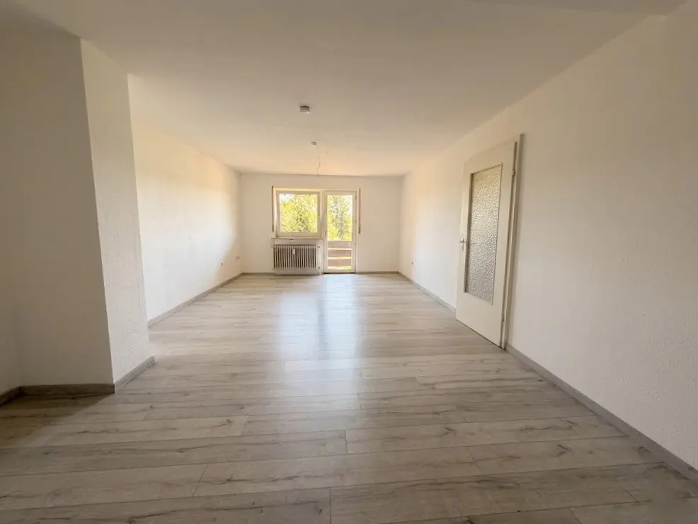 Empty room with light wood floors, white walls, and a window with a radiator below. A white door is on the right.