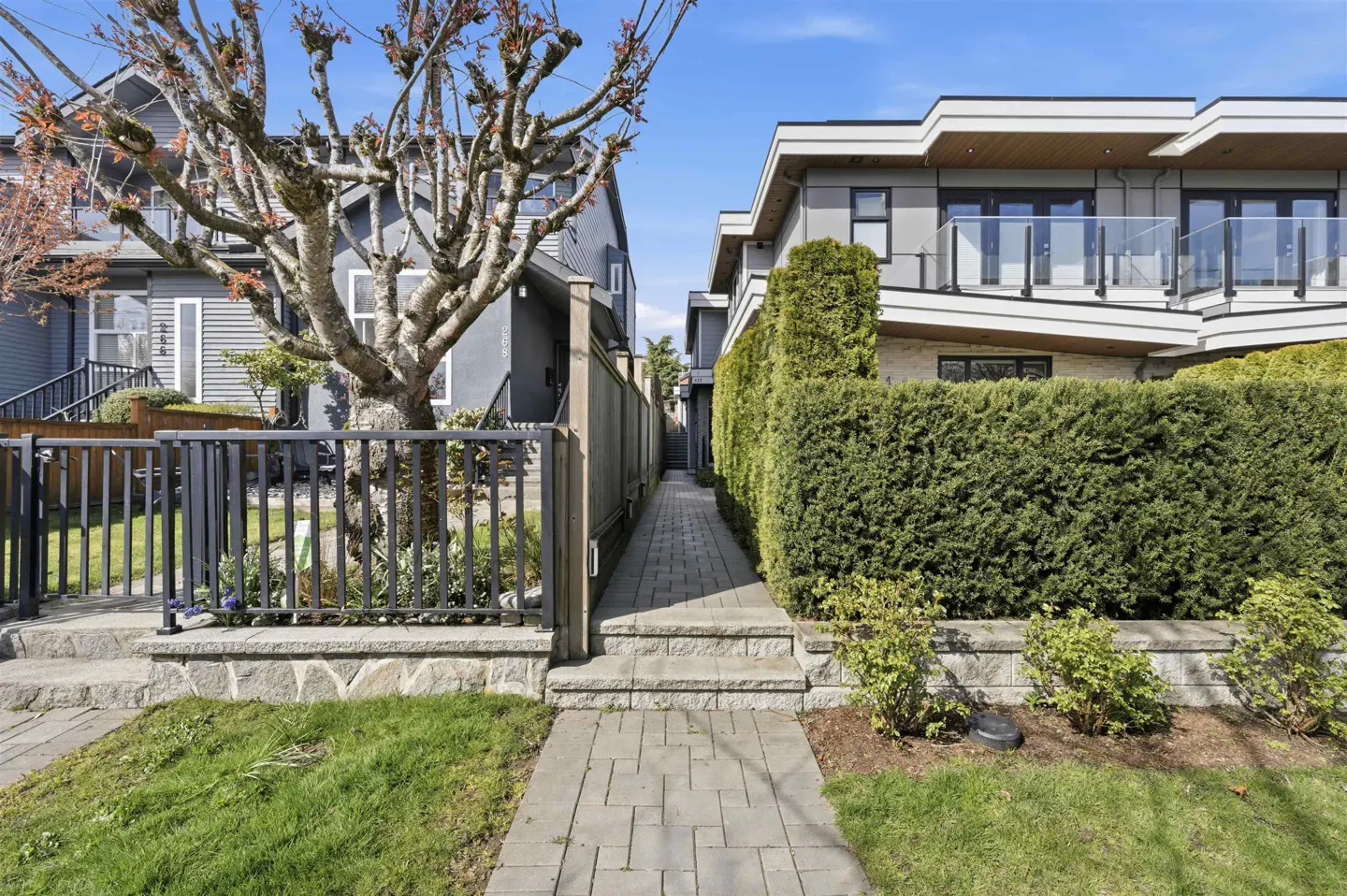 A paved walkway leads between two modern gray houses with green hedges and a tree.
