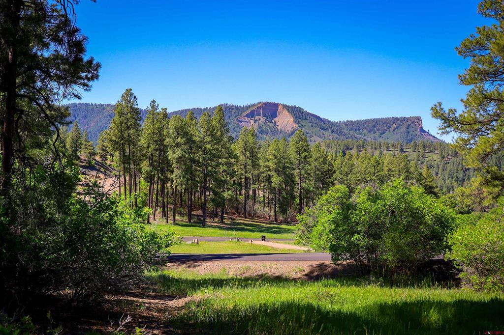 7+ Acres in Pagosa Springs, CO
