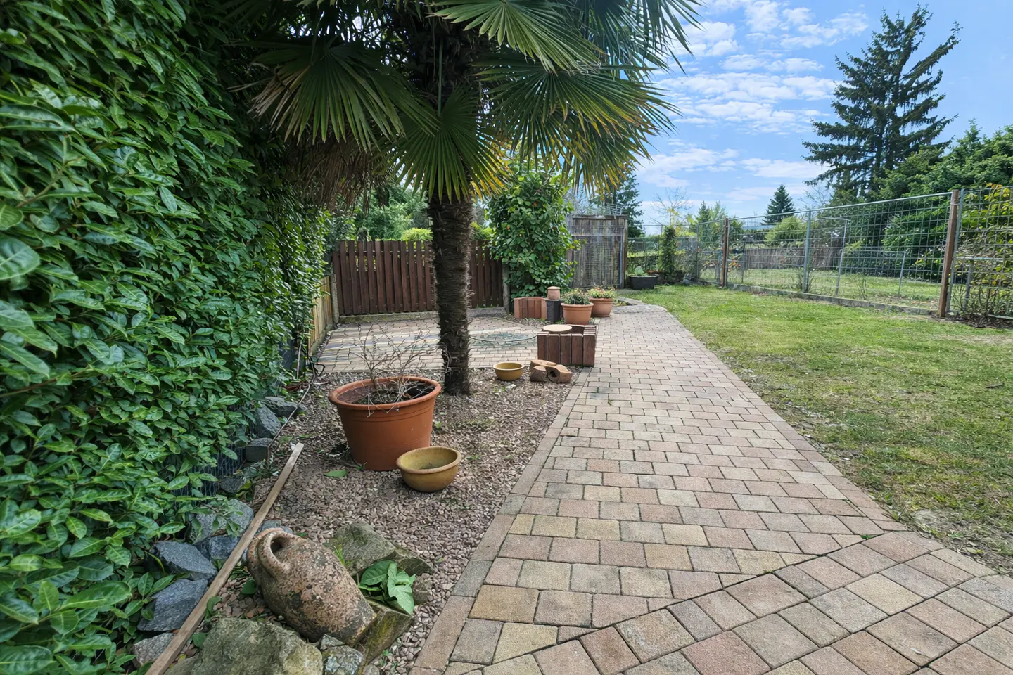 Landscaped backyard with brick path, green hedge, palm tree, and potted plants under a blue sky.