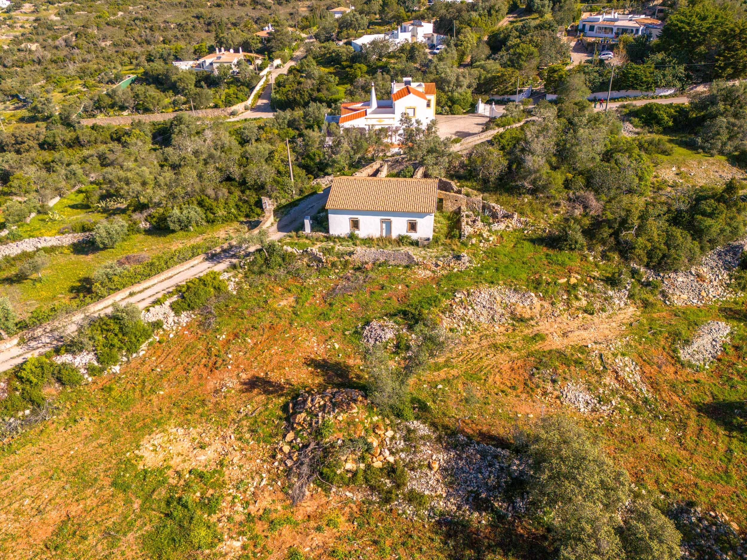 Turnkey Project: Single-Storey 4-Bedroom Villa with Pool
