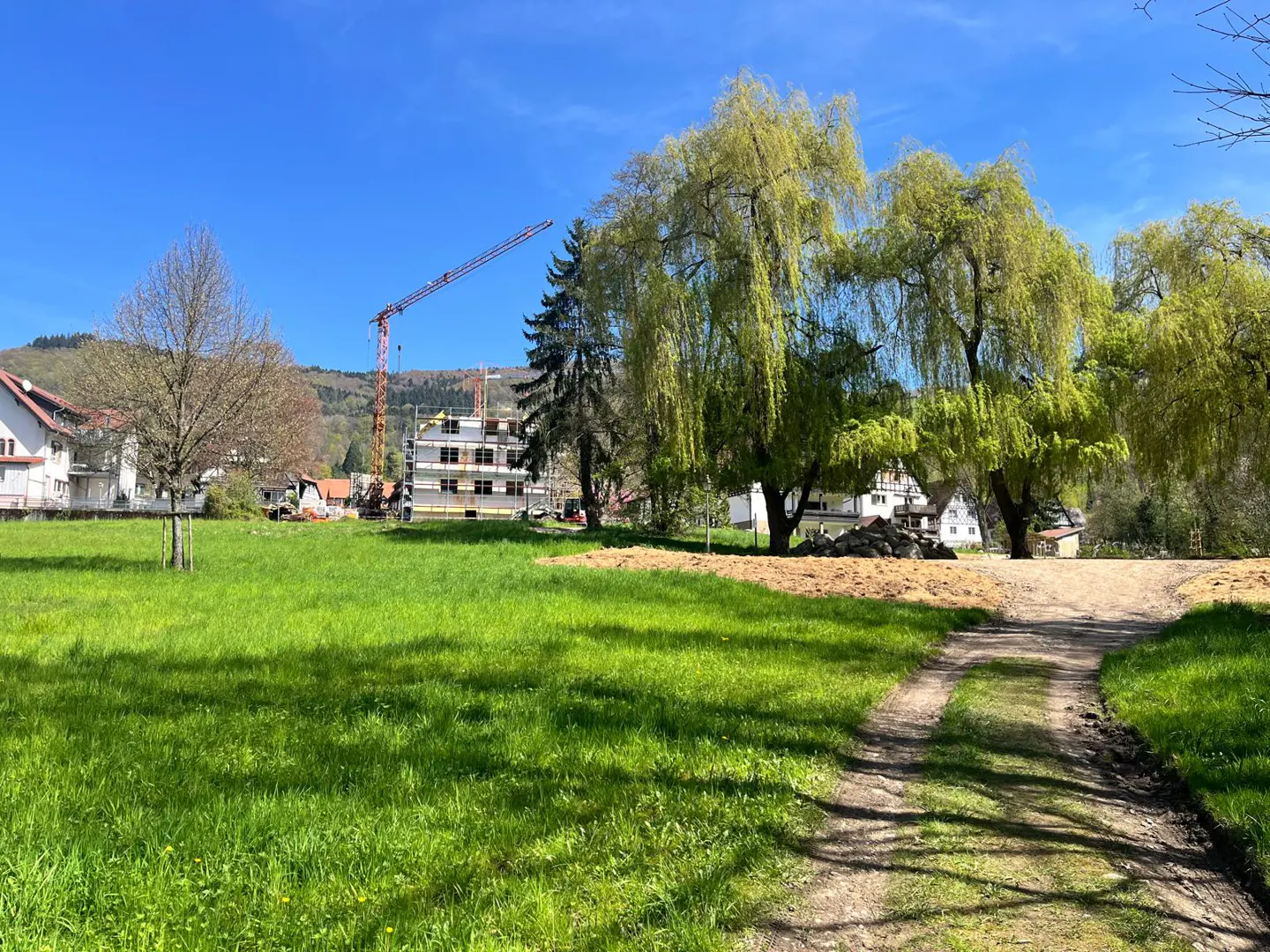A grassy field with a dirt path leads to weeping willow trees. A building under construction and a red crane are in the background.