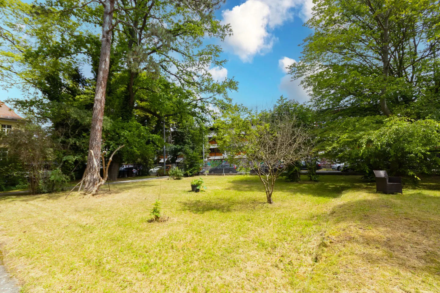 Lush green lawn with trees and blue sky. A chair sits on the grass.
