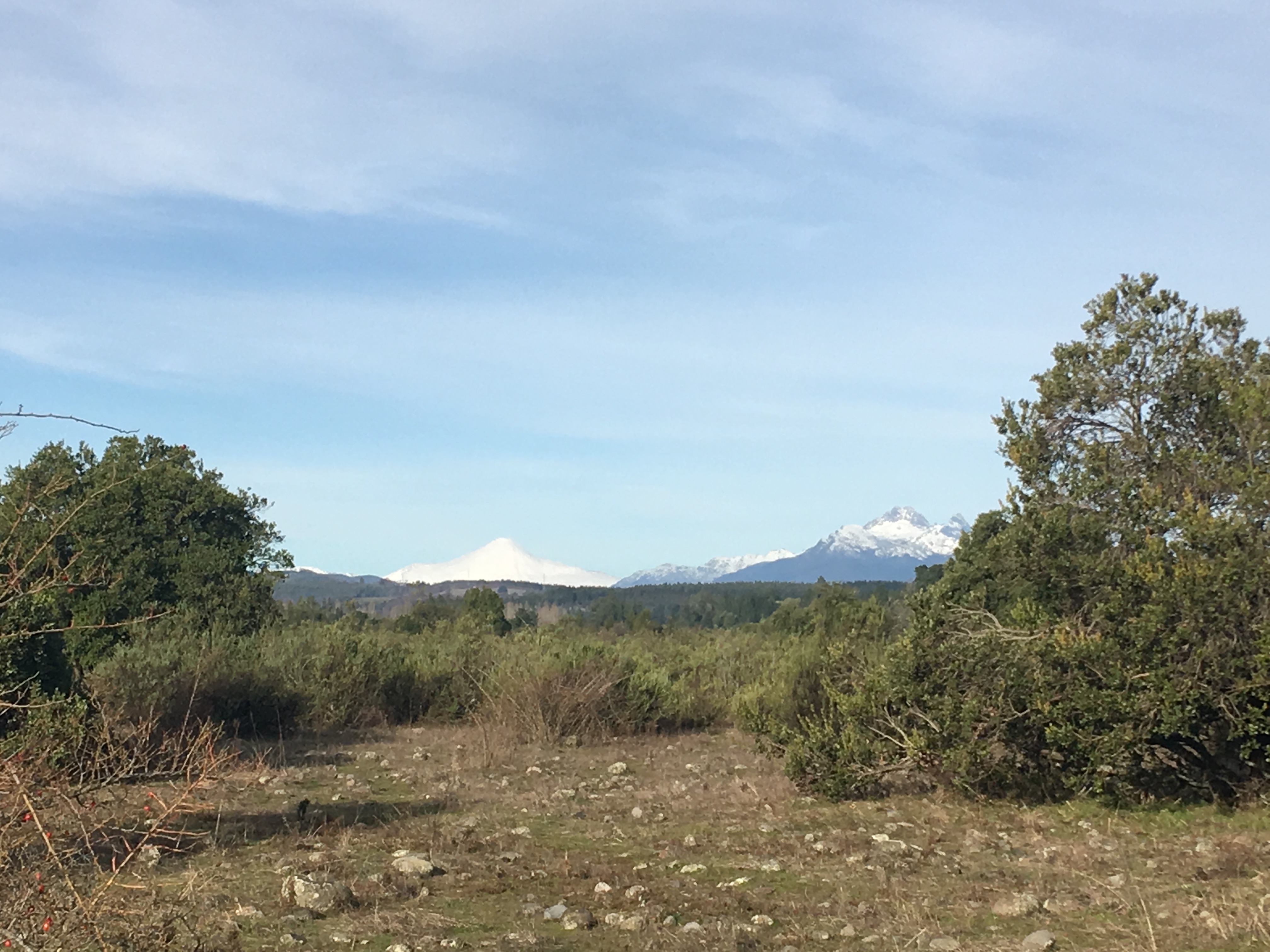 Terreno en Huepil