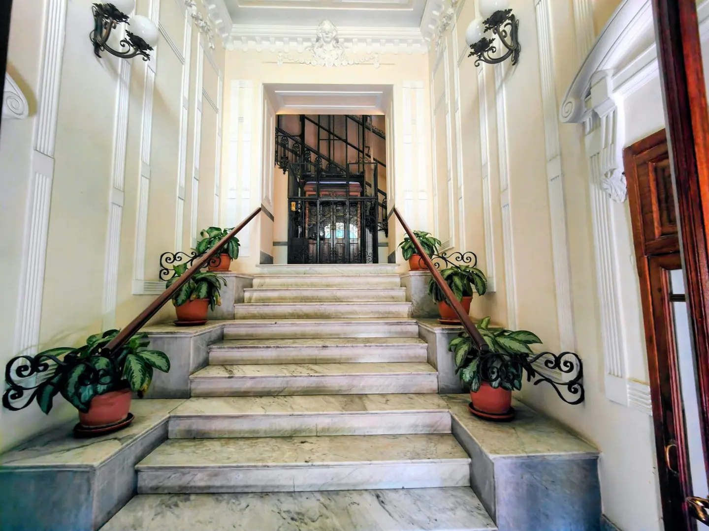 Interior view of marble stairs with wooden handrail, potted plants, and an elevator in the background. Cream-colored walls with sconces.