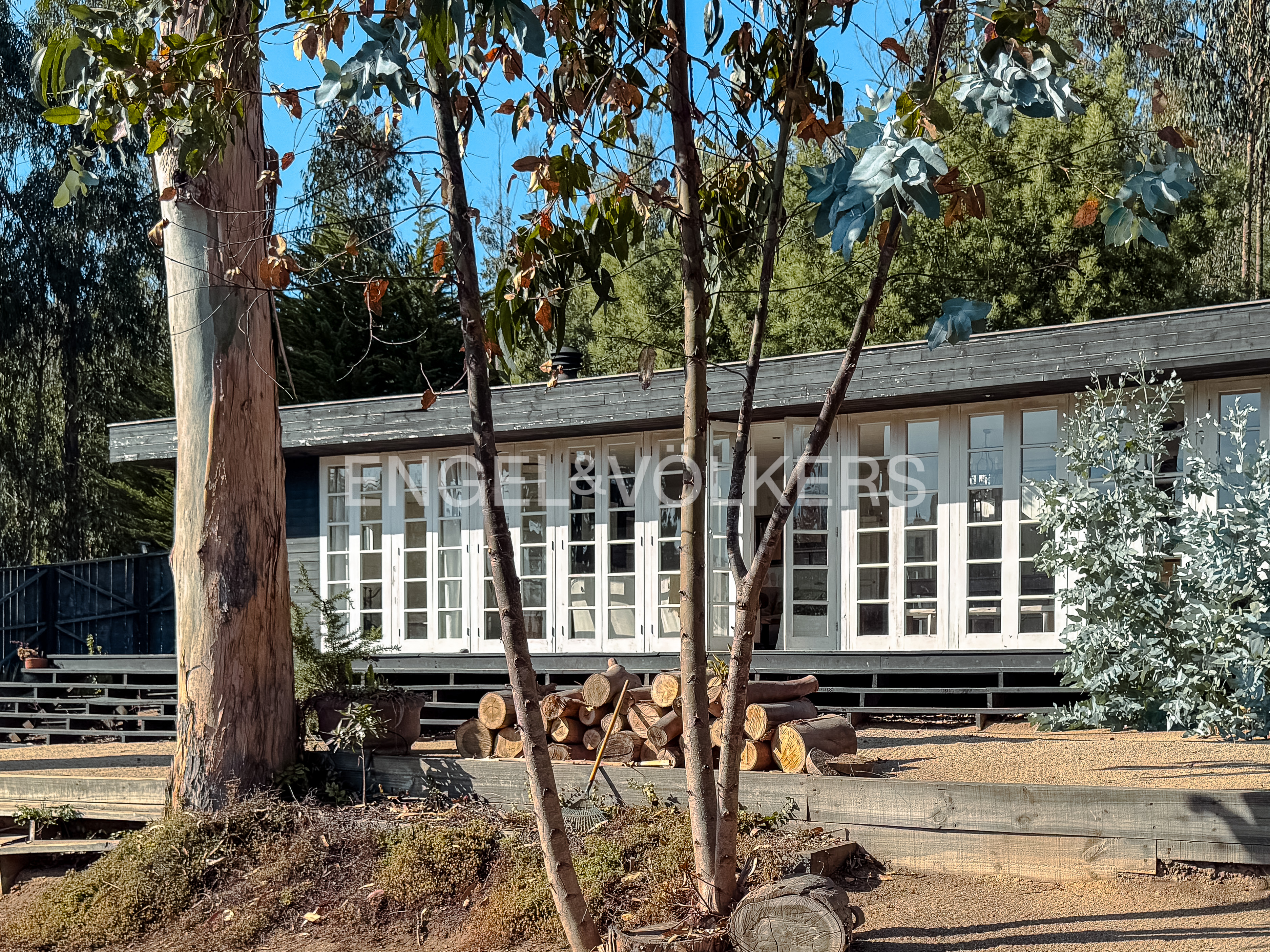 Exterior view of a modern home with white framed windows, a wood deck, and a pile of logs. Trees frame the house.