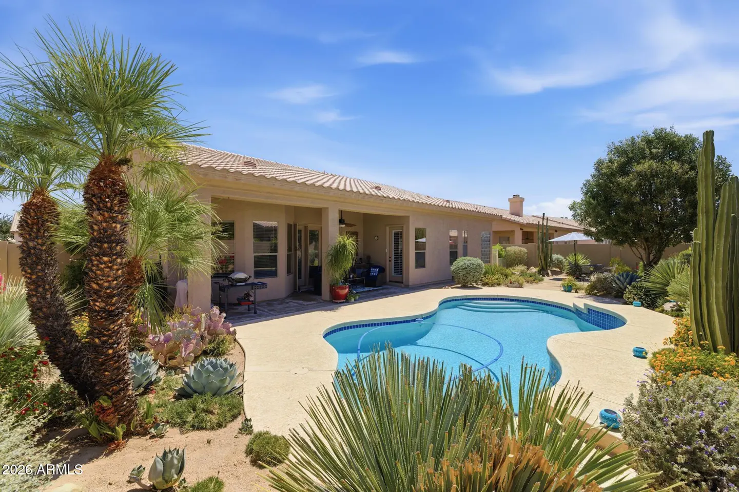 Backyard of a tan stucco home featuring a curved swimming pool, desert landscaping, palm trees, and a covered patio.