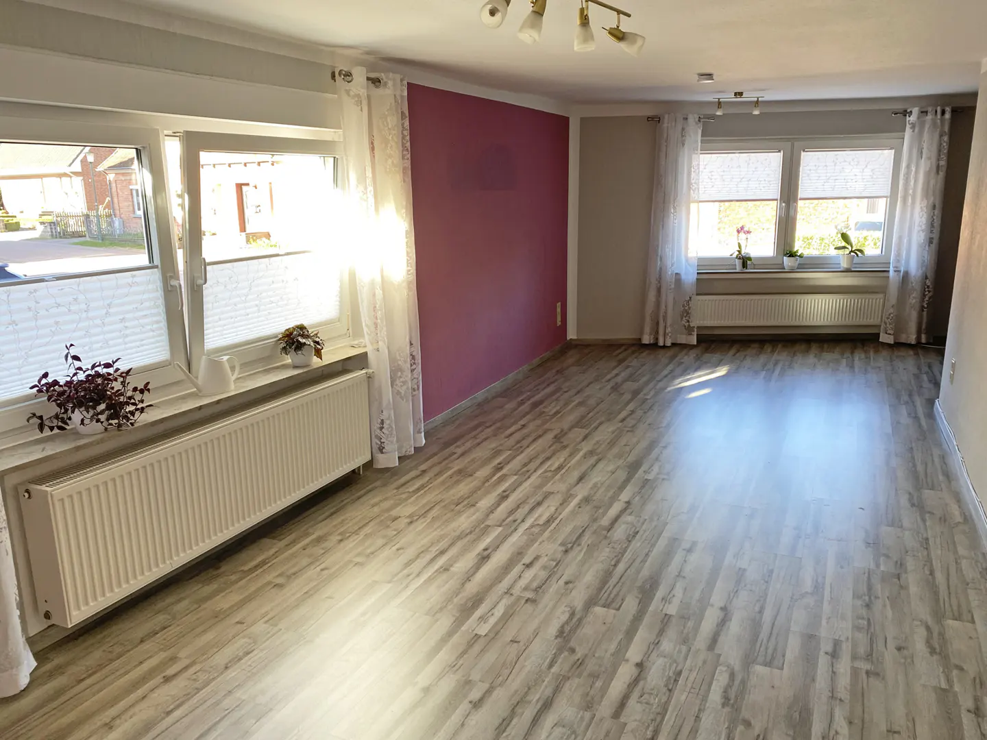 Bright living room with wood-look floors, white curtains, and a plum accent wall. Windows have white blinds and plants.