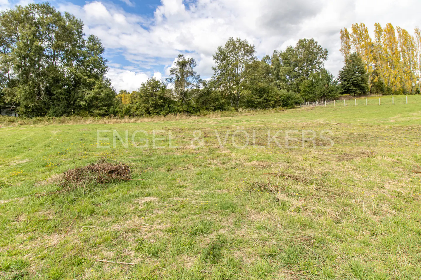 A grassy field with trees in the background under a cloudy sky. A pile of branches sits in the foreground.