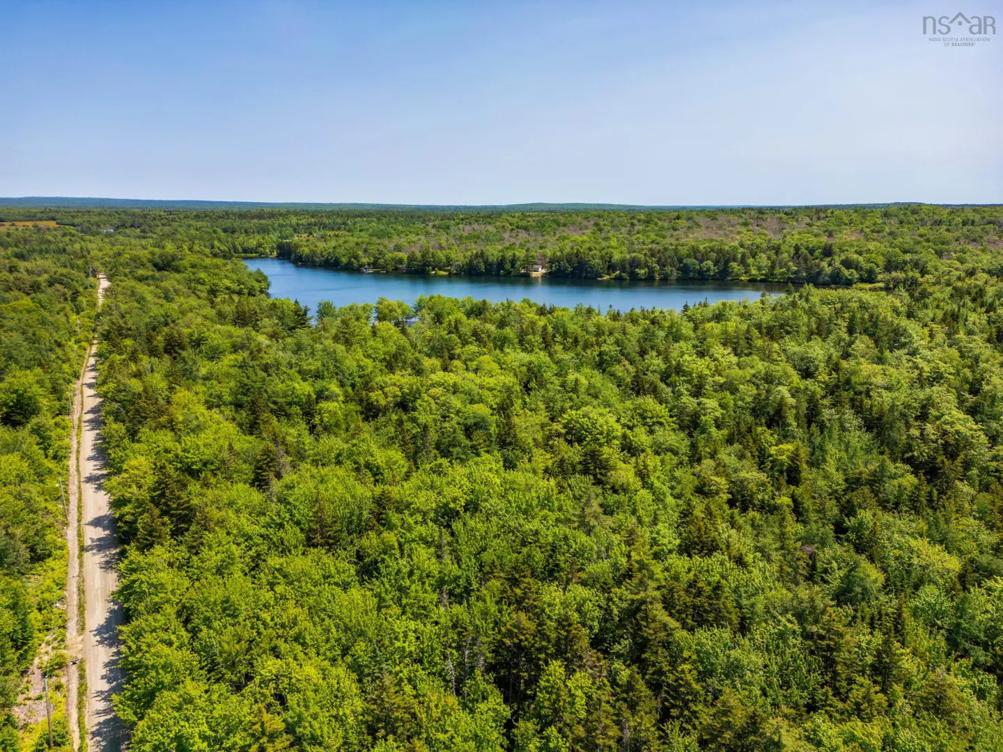 Aerial view of a lake surrounded by a dense green forest under a clear blue sky. A dirt road runs along the edge of the forest.
