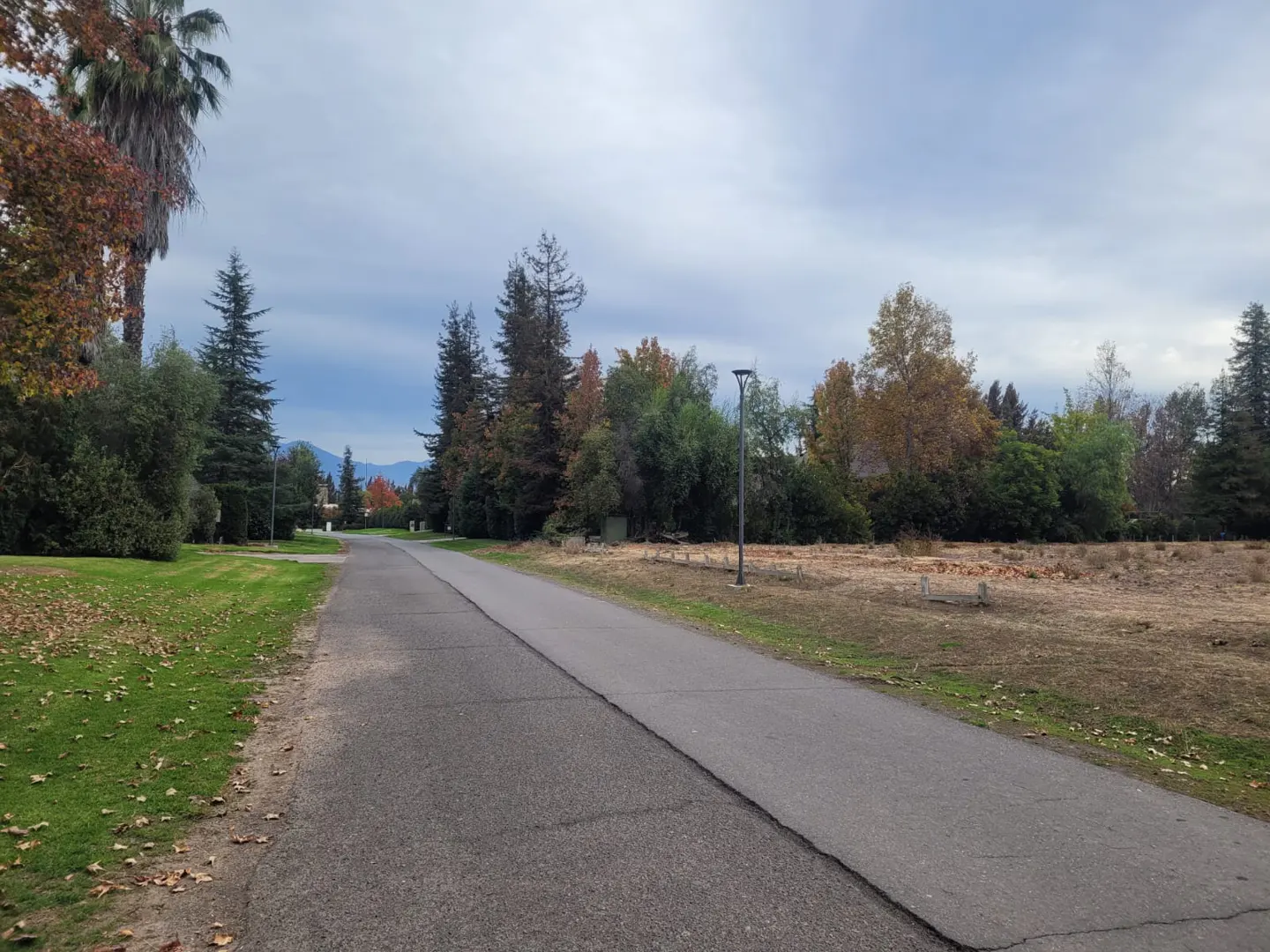 A paved path winds through a park with trees in autumn colors under a cloudy sky.