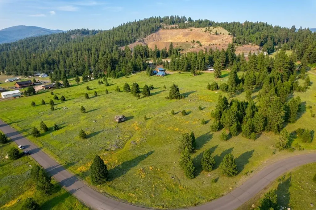 Aerial view of a green meadow with scattered trees, a road, and a forested hill in the background.