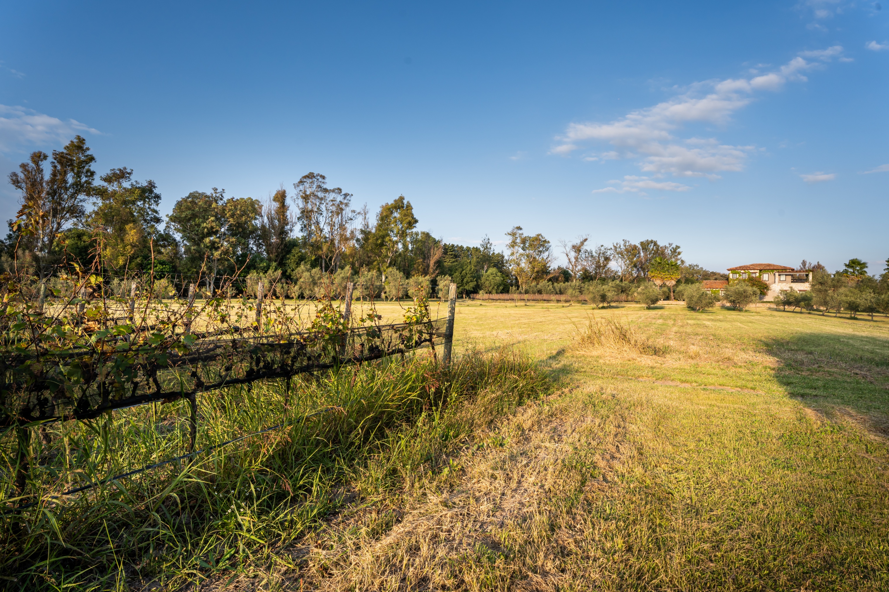 Outstanding Lot in Viñedo San Lucas