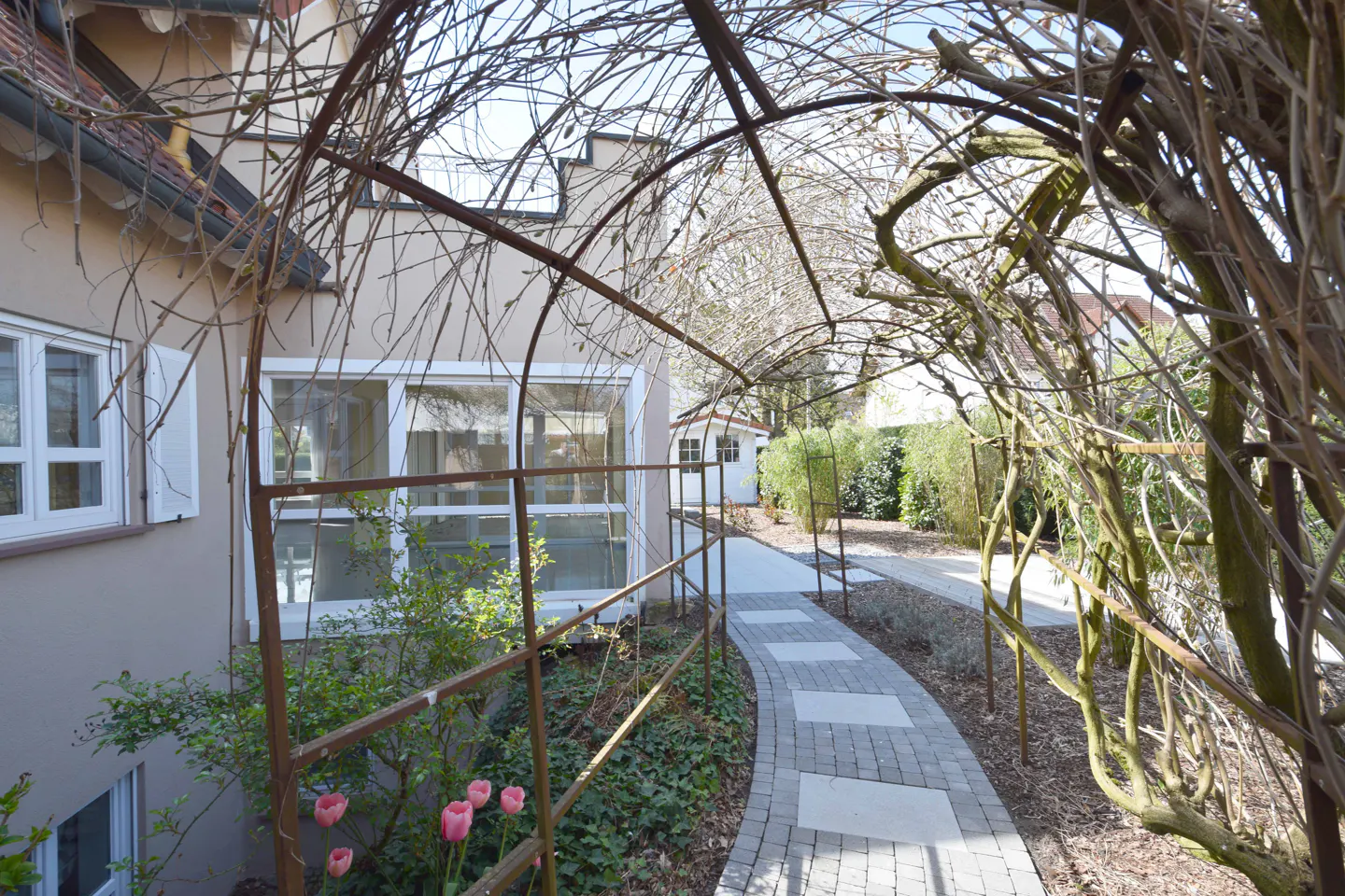 A garden path with a metal archway covered in vines leads to a small white building. Pink tulips grow near a beige house with white windows.