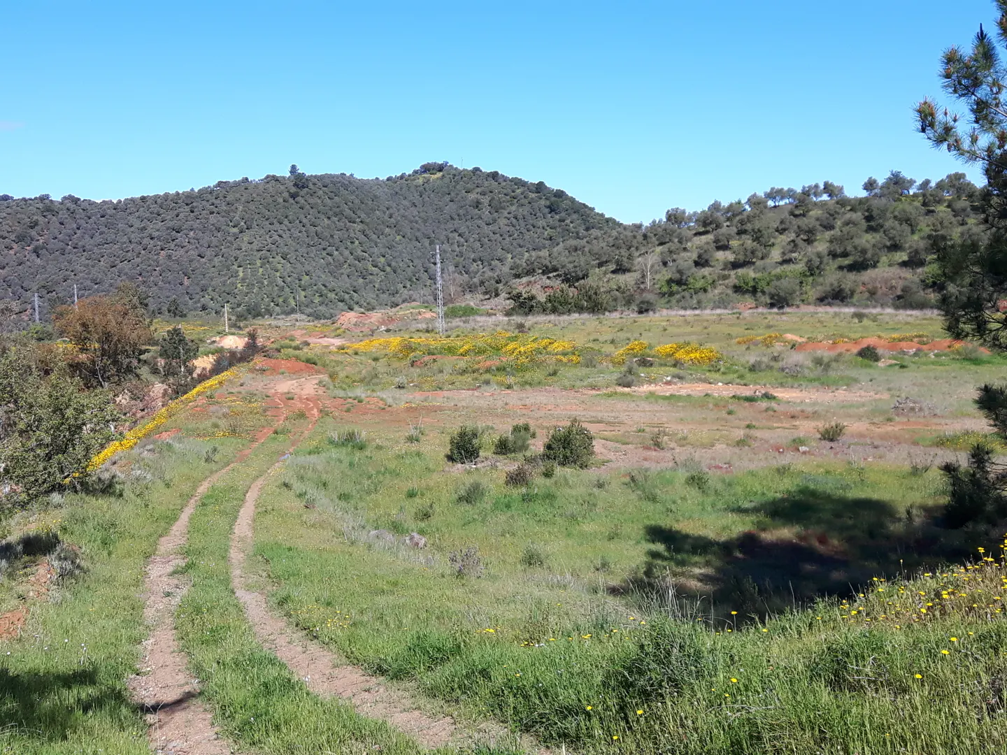 A dirt path leads through a grassy, sunlit field with patches of yellow wildflowers, set against a backdrop of green hills.