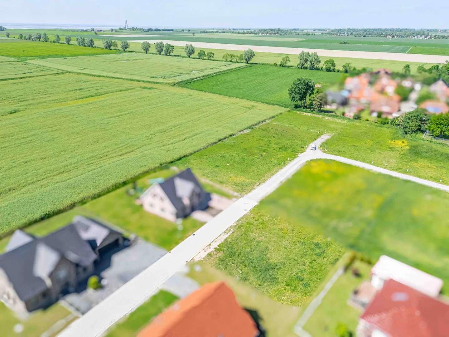 Aerial view of a residential street with houses, a vacant plot, and vast green agricultural fields in the background.