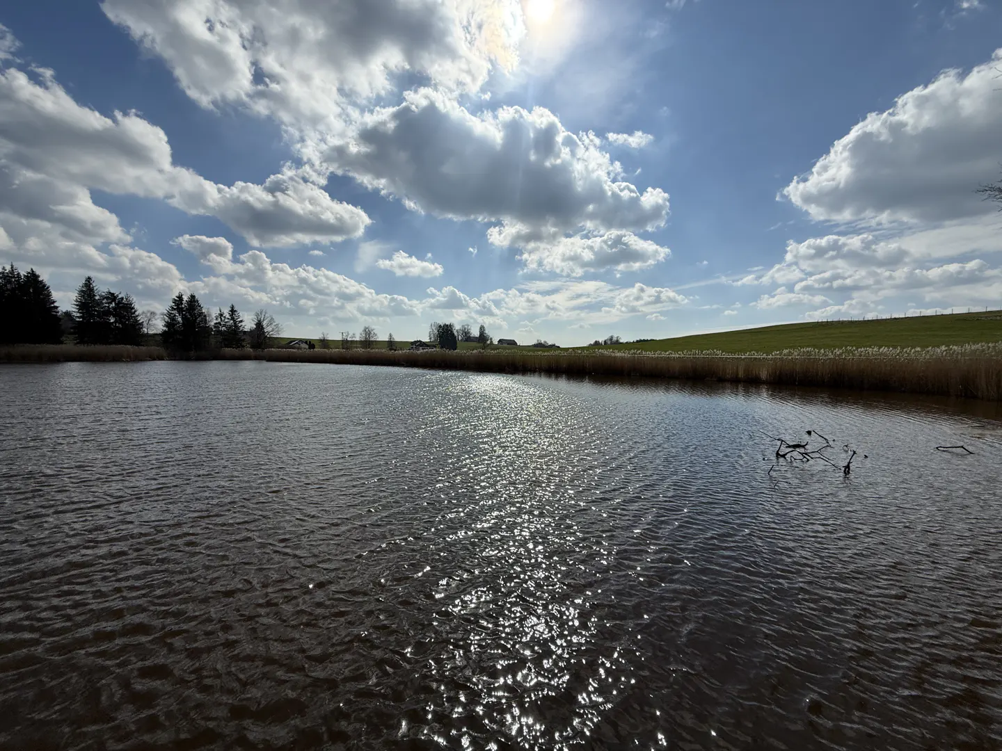 Scenic view of a calm lake reflecting the sun and cloudy blue sky. Trees and tall grass line the shore.
