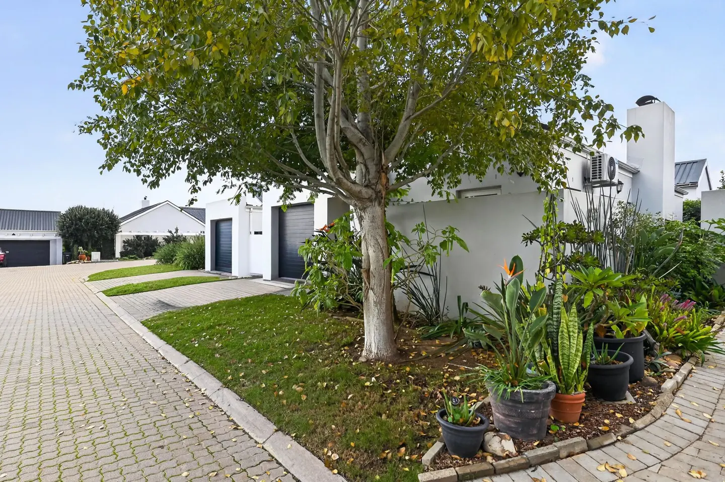 Street view of house
