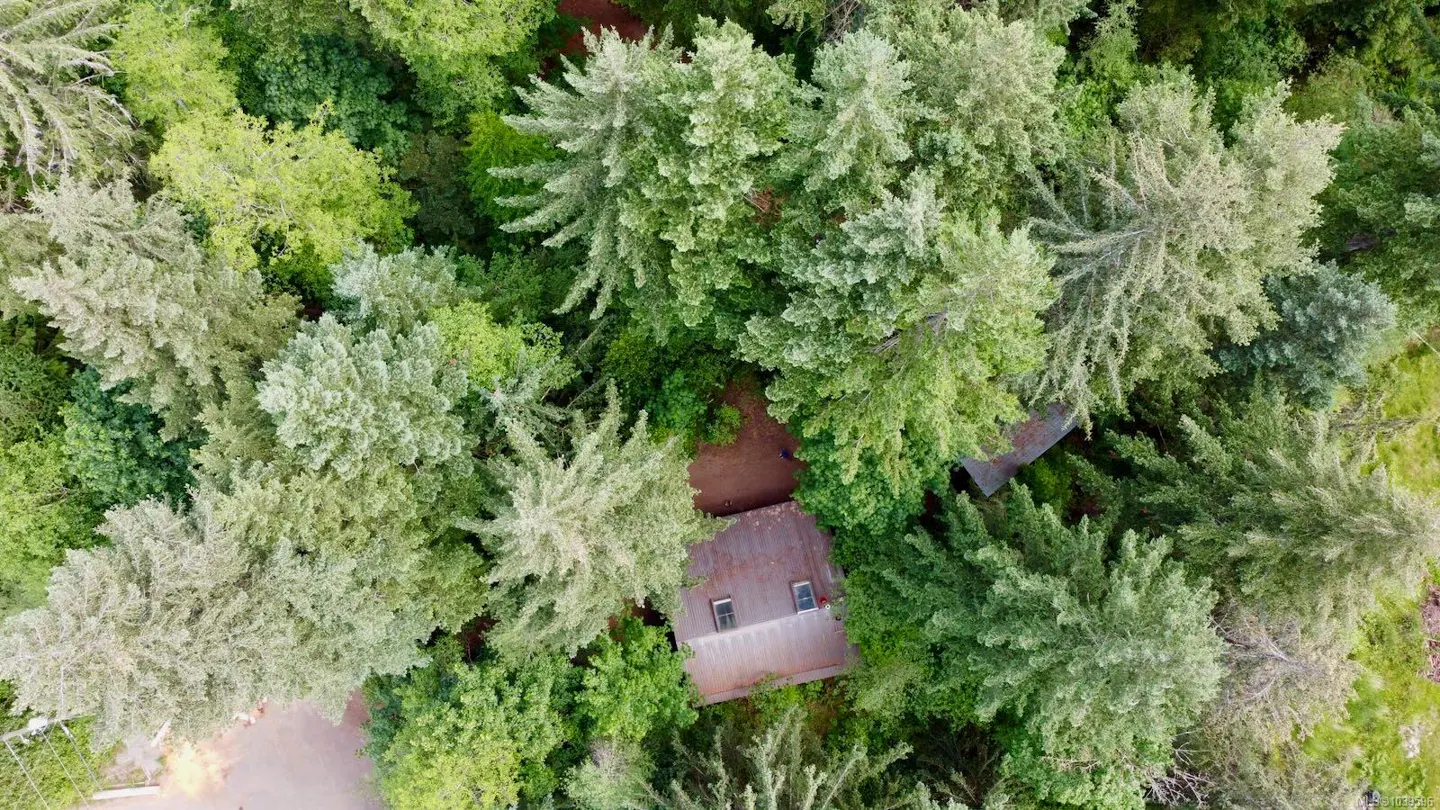 Aerial view of a small cabin with a metal roof nestled deep within a dense, lush green forest.