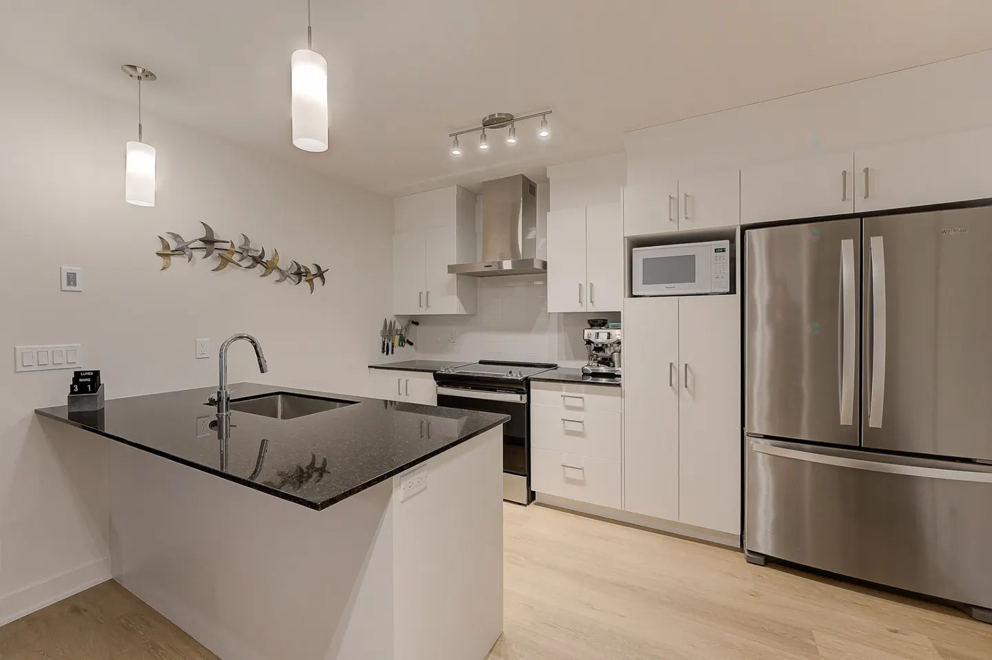 Bright kitchen with white cabinets, stainless steel appliances, and a black granite island. Modern lighting fixtures and bird wall art add style.