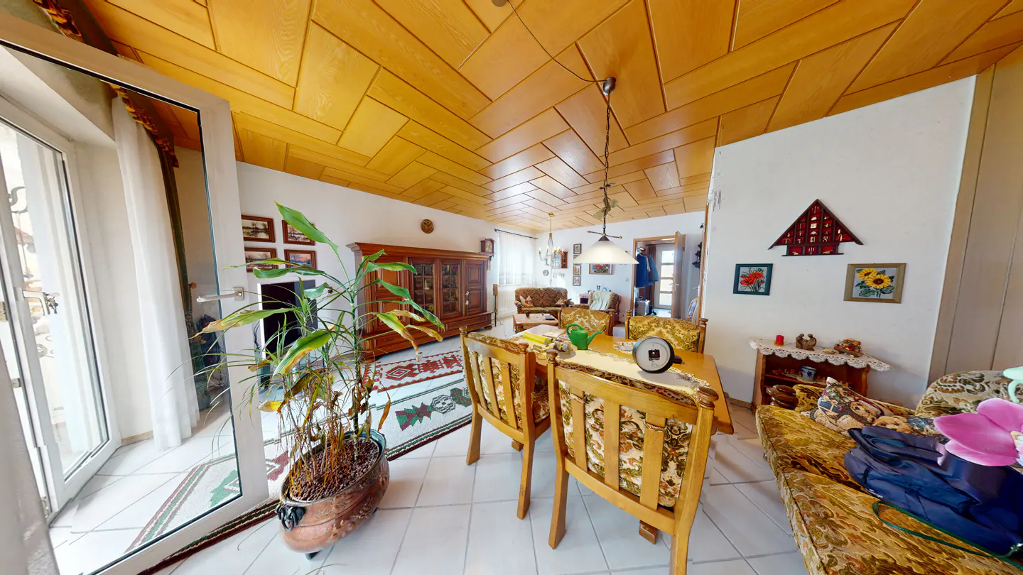 A bright living room with a wood-paneled ceiling, dining table, and a large plant near a glass door.