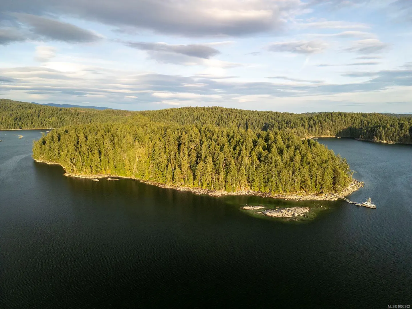 Aerial view of a green, tree-covered island surrounded by dark blue water under a cloudy sky.