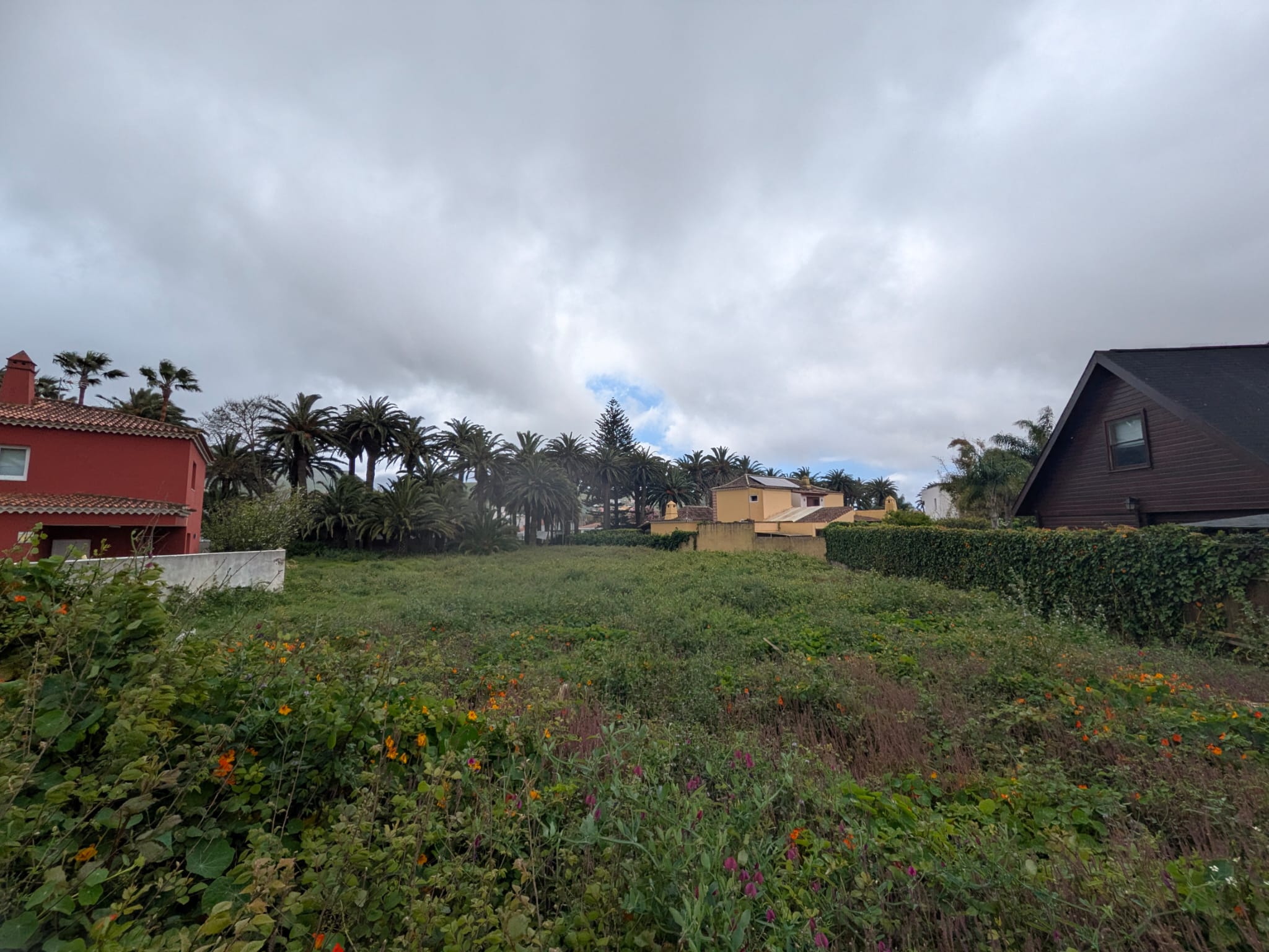 Urban Plot on Long Road